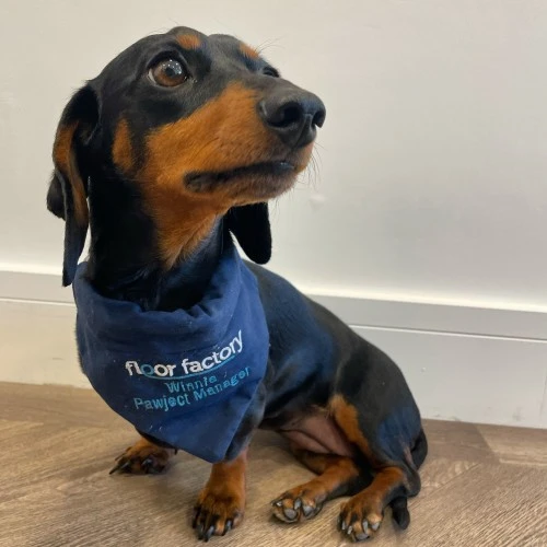 Winnie 'Sausage' Cooling